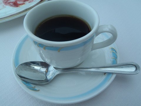 P5110086