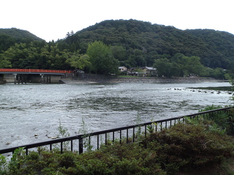 P8290088