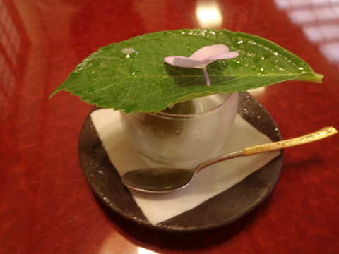P6050046