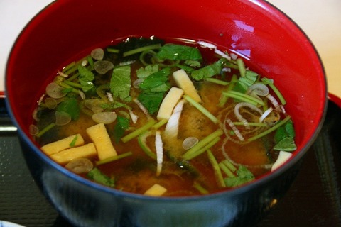 a-ao0111