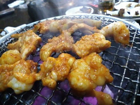 a-ajiya11