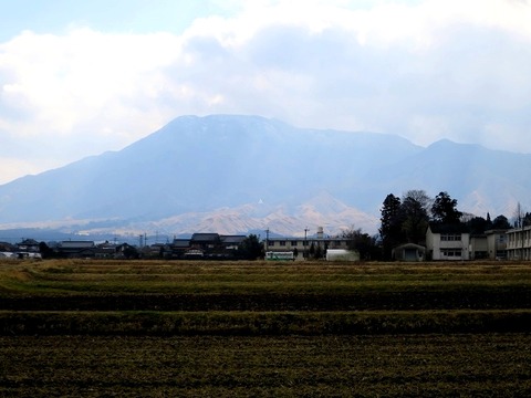 a-kuma0800