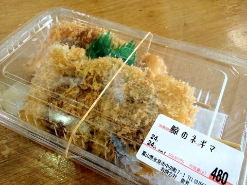 a-hokuriku0308