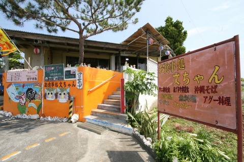 a-oki0208