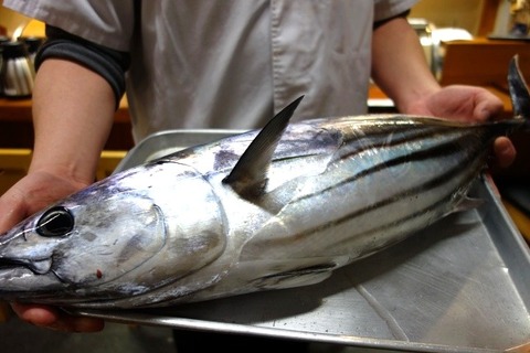 a-sira0508