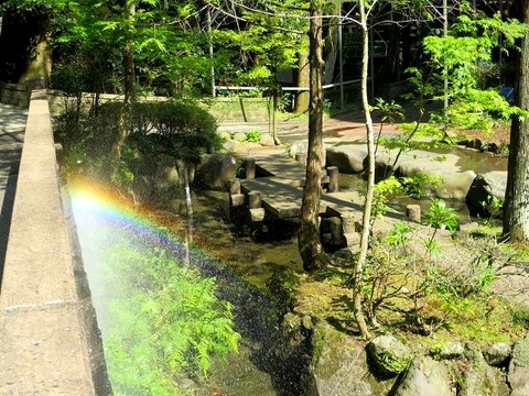 a-kago0806