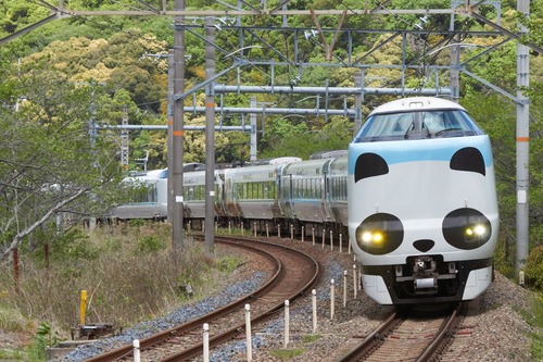 景 阪和線 283系 特急くろしお オーシャンアロー 2024/04/11撮影