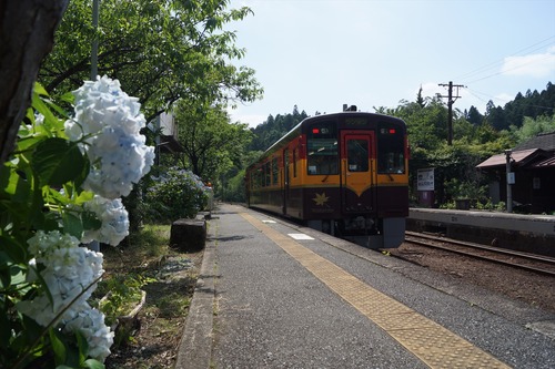 DSC04337_R