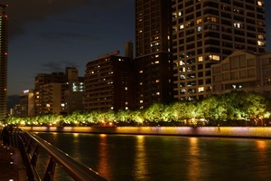 s-DSC03235