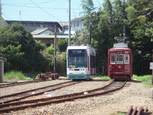 P8314145