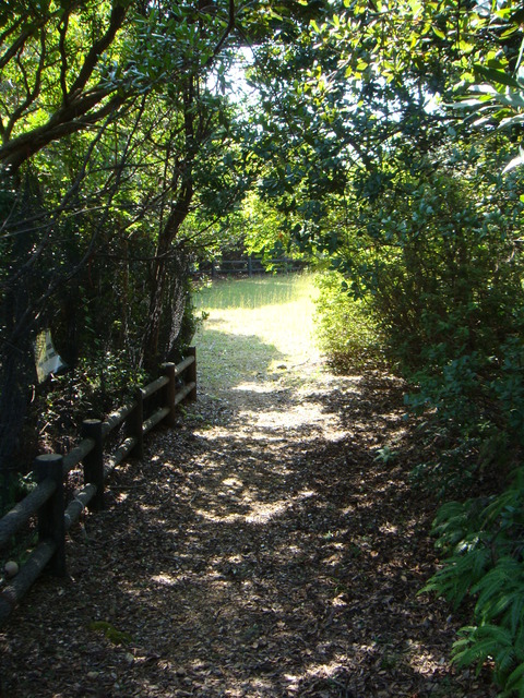 DSC01122