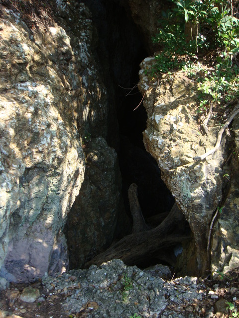 DSC01149