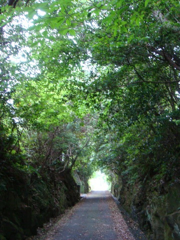 DSC01846