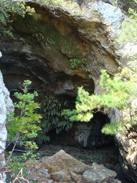 DSC01135