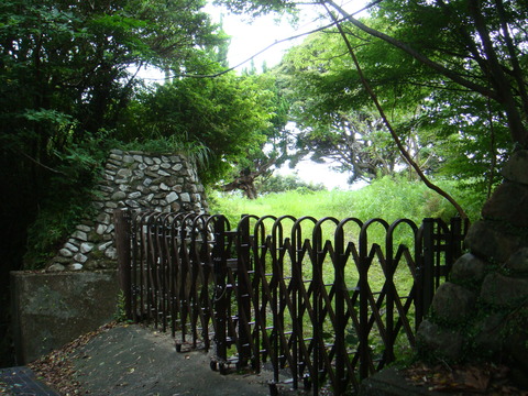 DSC01849