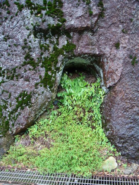 DSC01894