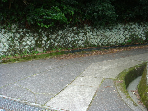 DSC01839
