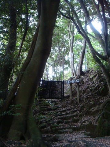 DSC01845