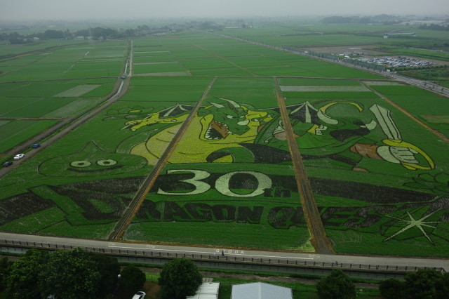 DSC05256