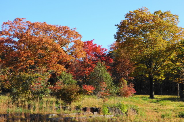 DSC05650
