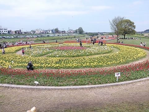 NCM_0280