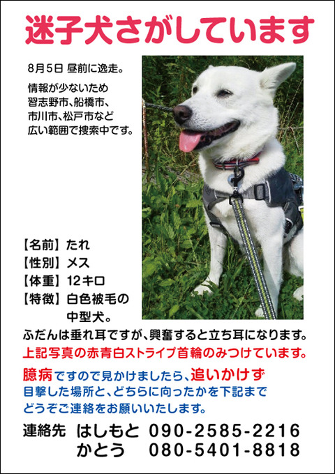 web_tare3