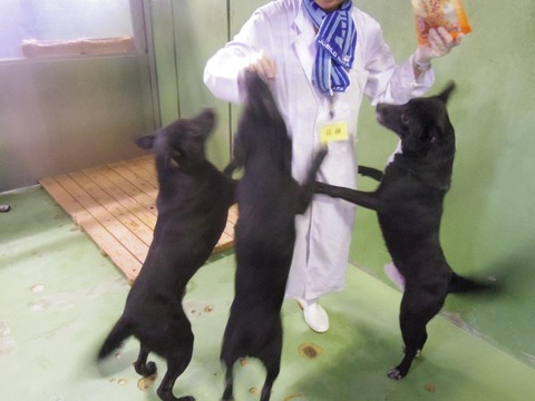 全①IMGP5135
