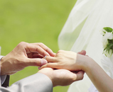 wedd018