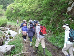 DSCF3905