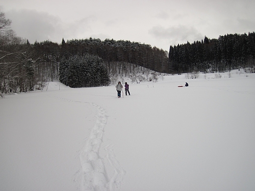 IMG_3772 IMG_3772