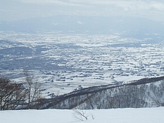 DSCF3140