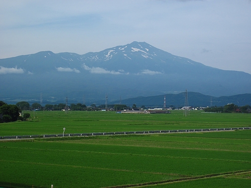 IMG_4759 IMG_4759