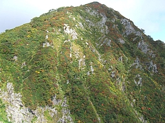 DSCF1814