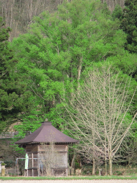 IMG_0713¾®ºäÃÏ¢Ʋ¤Î¥«¥Ä¥é