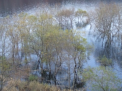 DSCF2398