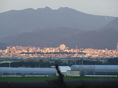 DSCF4437