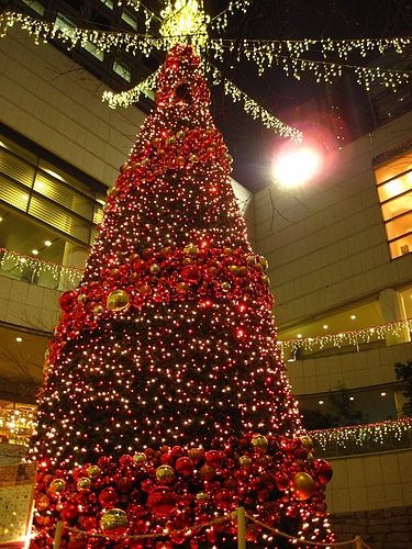 IMG_6875 IMG_6875