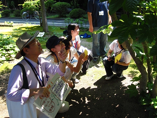 IMG_0348 IMG_0348