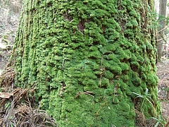 DSCF3260
