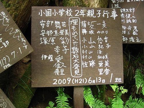 IMG_4482 IMG_4482