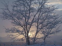 DSCF2610