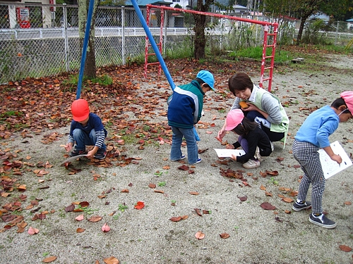 IMG_6150 IMG_6150