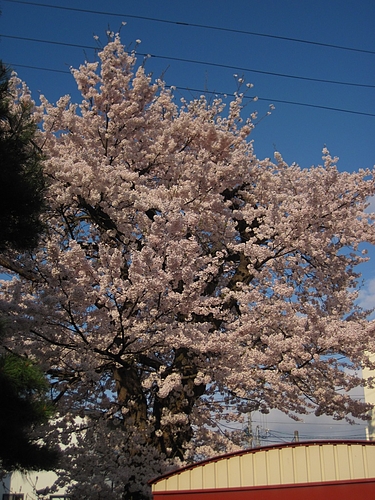 IMG_8270 IMG_8270