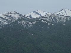 DSCF3948