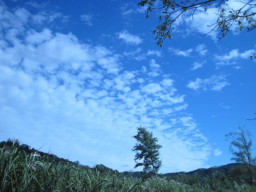 IMG_5833 IMG_5833