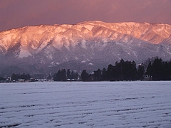 DSCF2337
