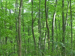 DSCF3895