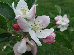 DSCF3835