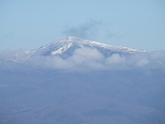 DSCF2241