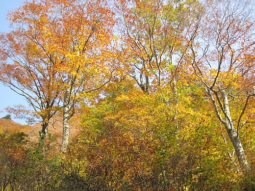 IMG_1955 IMG_1955